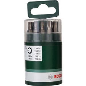 Набор из 10 насадок-бит Standard для шурупов с внутренним шлицем Torx (T)